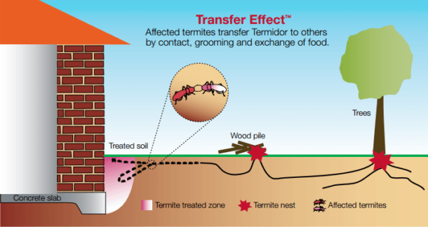 Termite Treatments - Bennett Termite And Pest Solutions